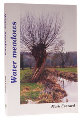 Water Meadows
